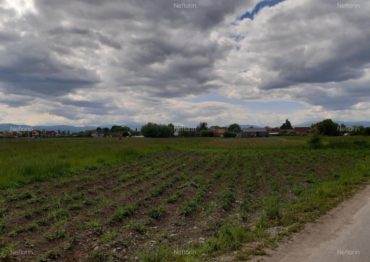 Teren intravilan 5000 mp construibi rezidential Lunca Calnicului - 4