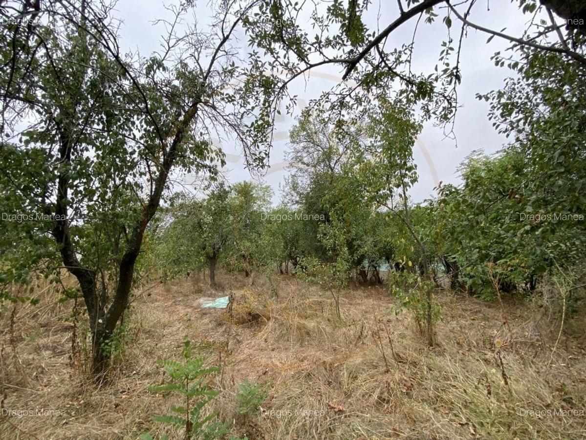 Teren 3000mp intravilan in Mavrodolu, AG - 5