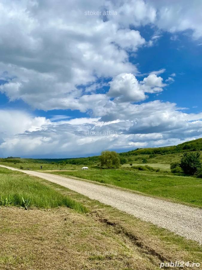 VAND teren cu casa intravilan aproape de oradea in Uileacu De Munte - 6