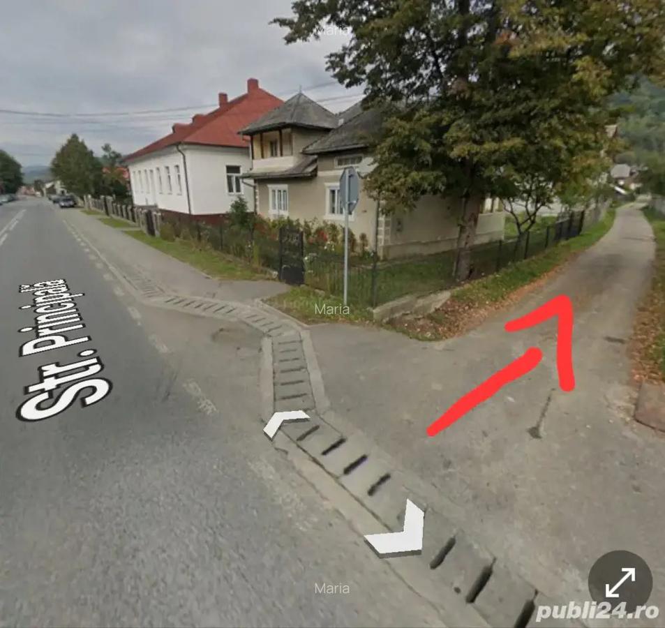 Vand casa in Moisei + 10 ari de teren - 6