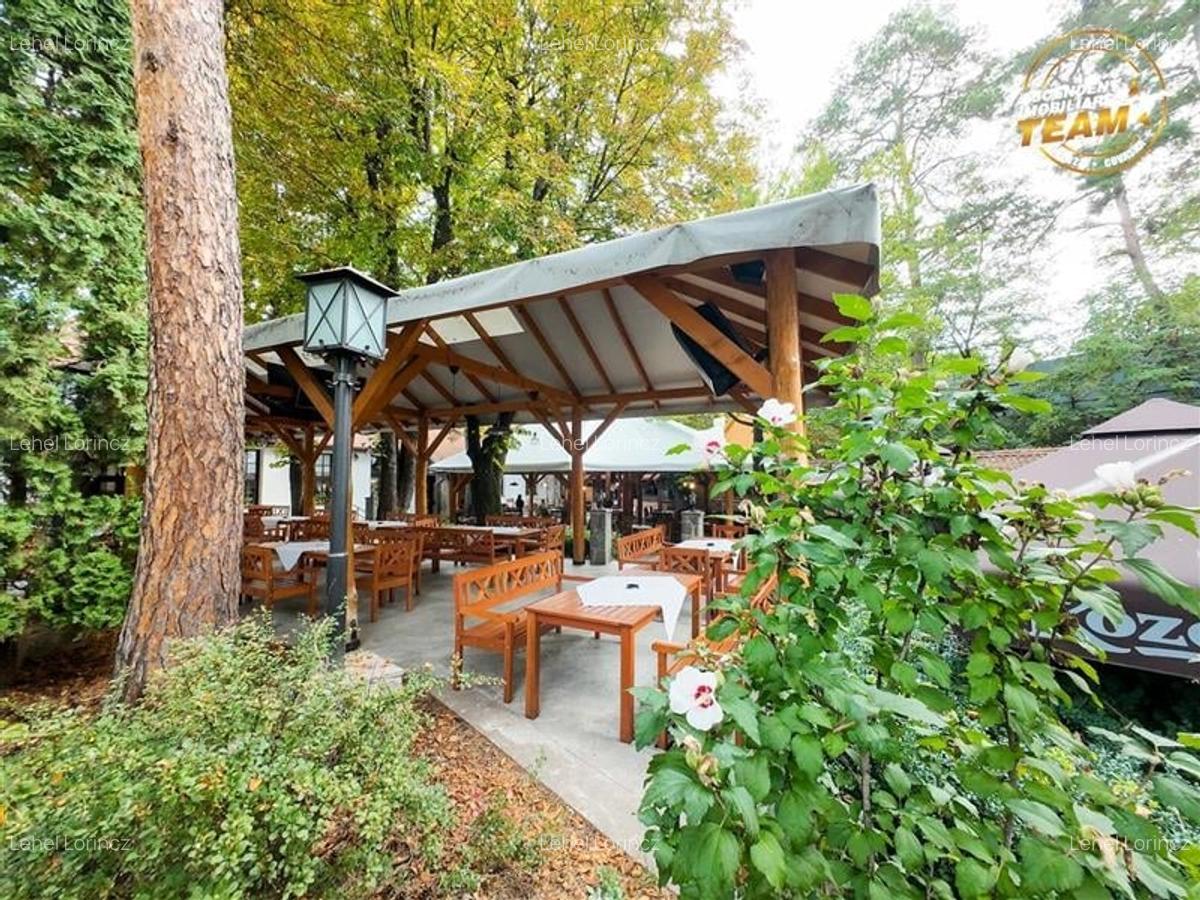 Complex Gastronomic:Afacere la cheie, Restaurant traditional secuiesc+teresa eve - 12