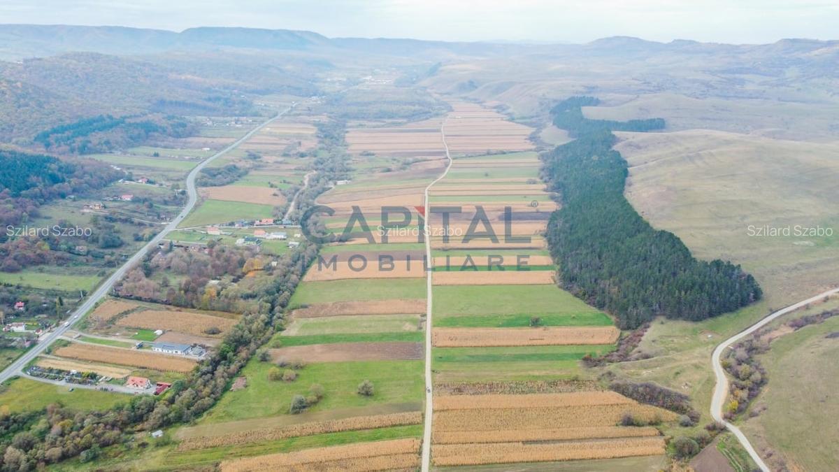 Terenuri de vanzare in Gilau - 2