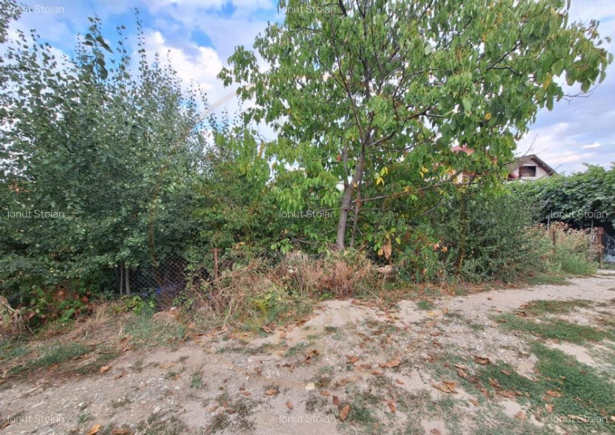 Teren intravilan 1400 mp Aleea Rozelor Trivale Camp - 3
