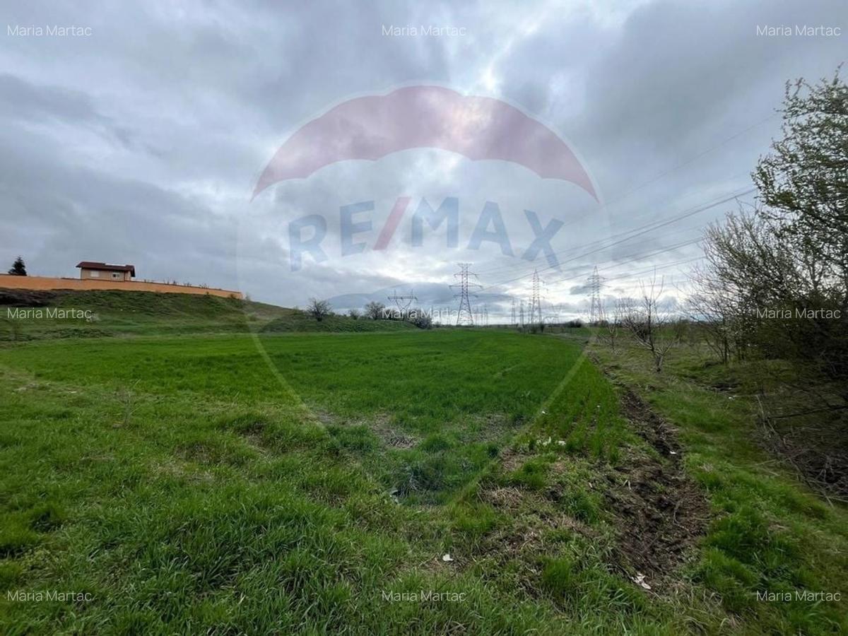 Investitie Teren intravilan Glina 5262mp - Autostrada Soarelui - 1