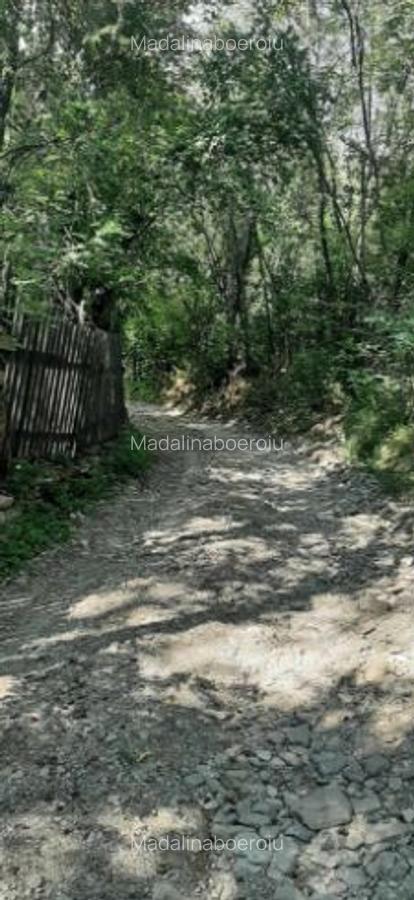Teren vanzare comuna Cerasu, Prahova - 6