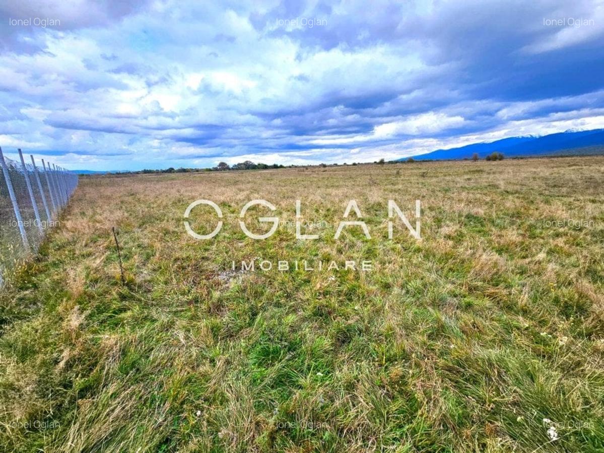 SUPER OFERTA! Teren 2000mp - Valea Avrigului, Sibiu - 9