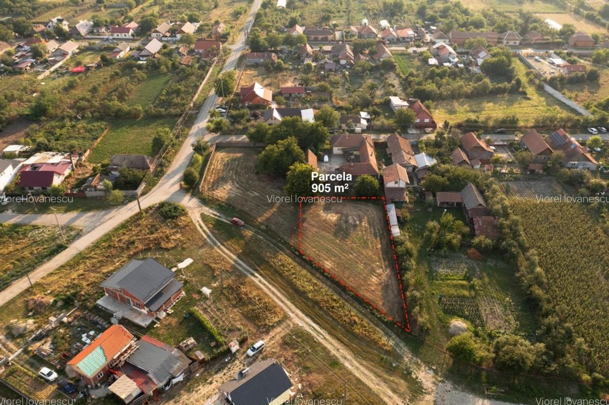 Teren intravilan | Jebel – parcelare recenta | - 5