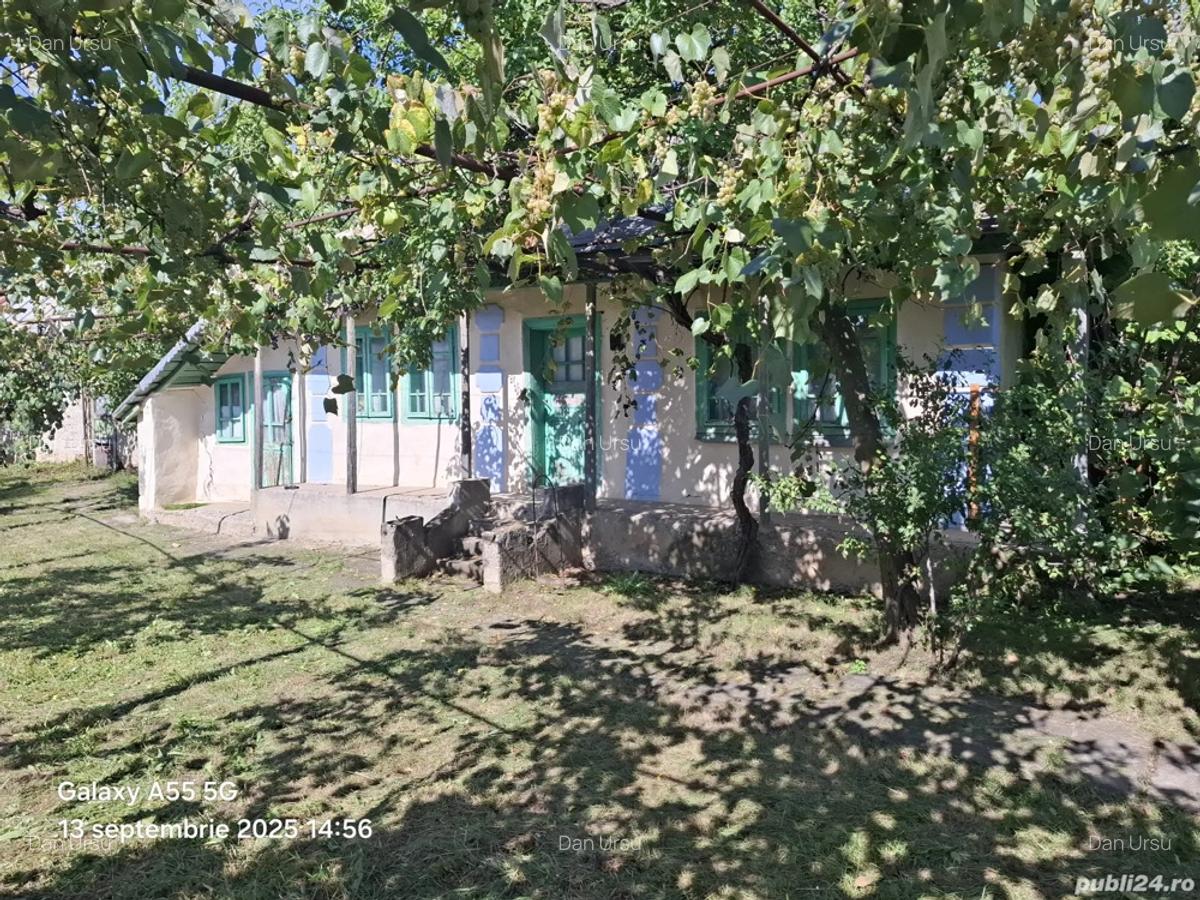 Vand casa batraneasca - 2