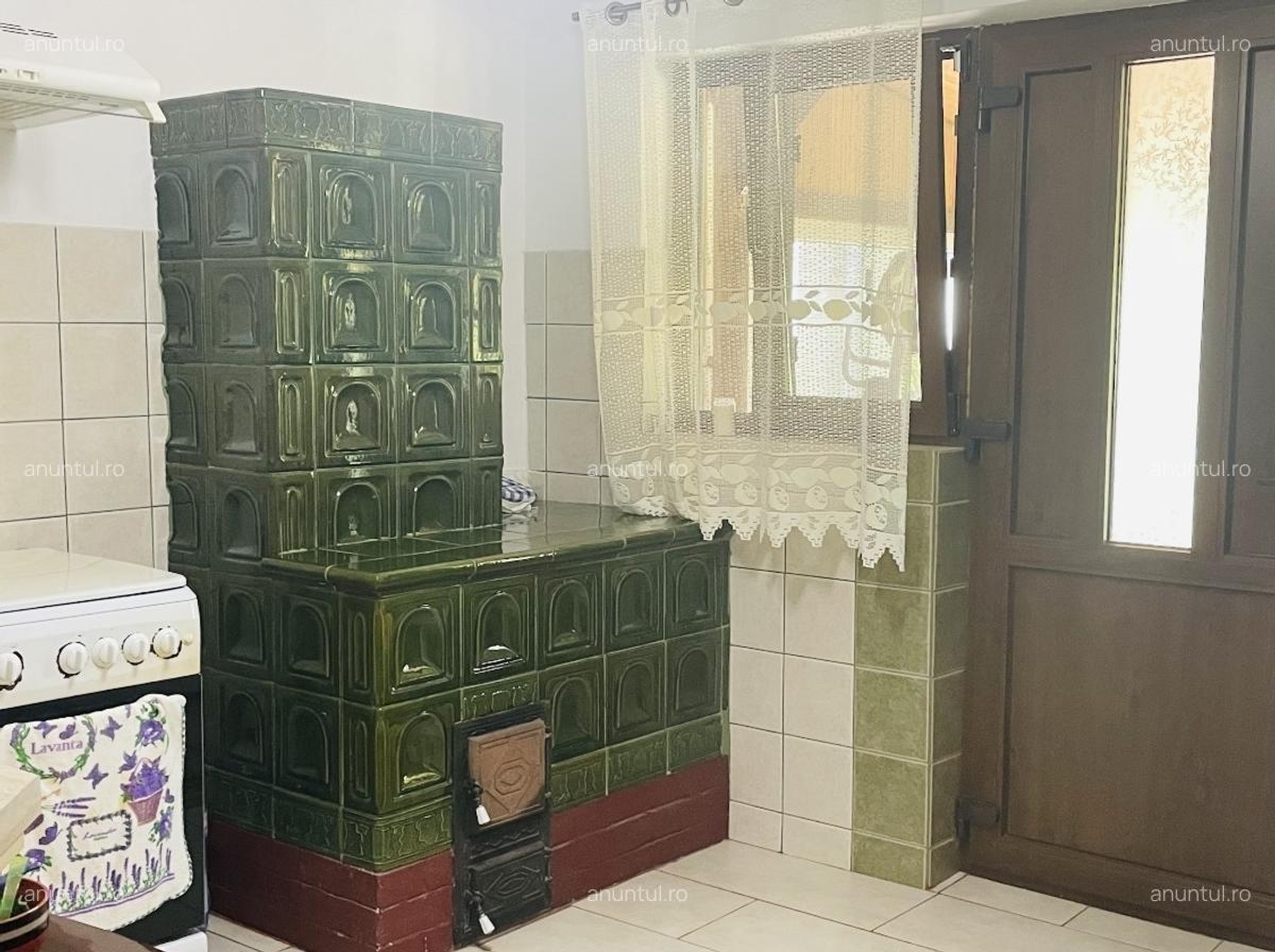 Comuna Marzanesti, sat Valea Parului, str Lalelelor, Teleorman - 14