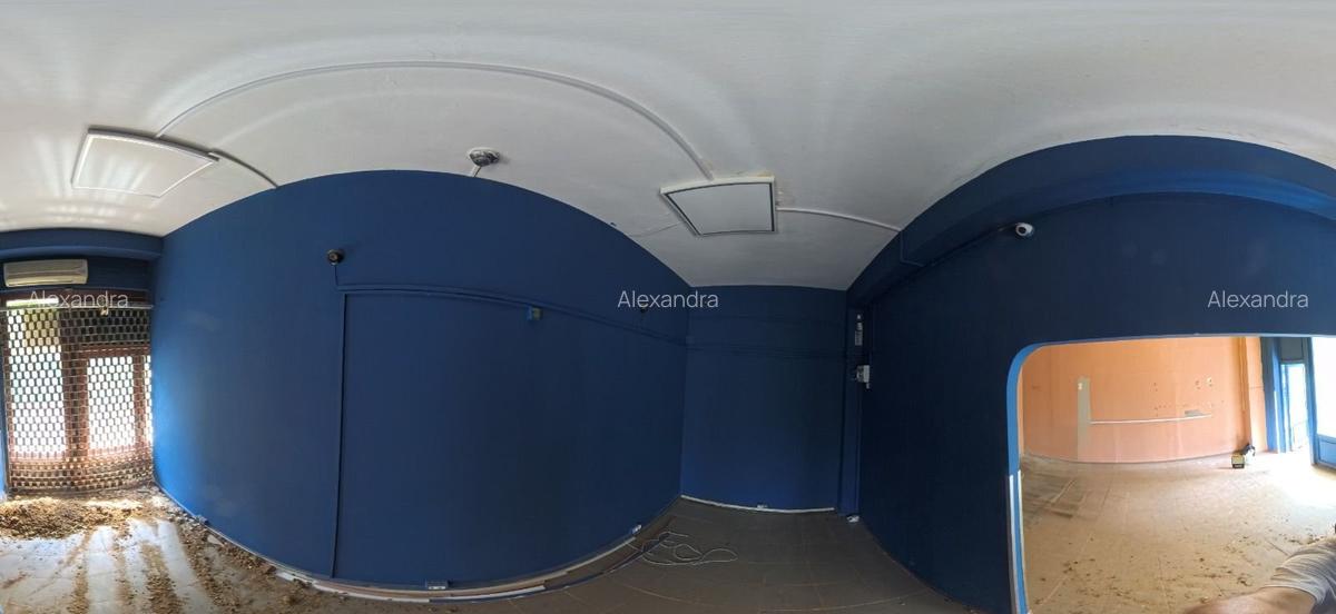 Spatiu Comercial BUCURESTI Str. Postavarului nr. 13 A, pret negociabil - 6