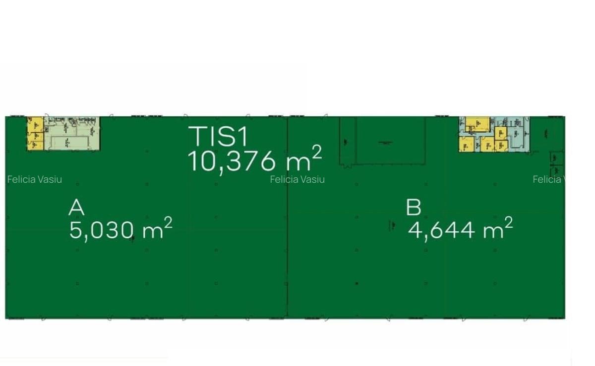 Spațiu industrial, 12876 mp în Sud - 8