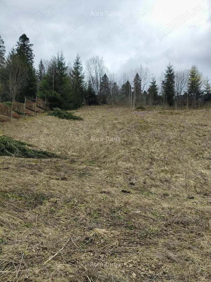 Teren intravilan situat in Predeal - 3