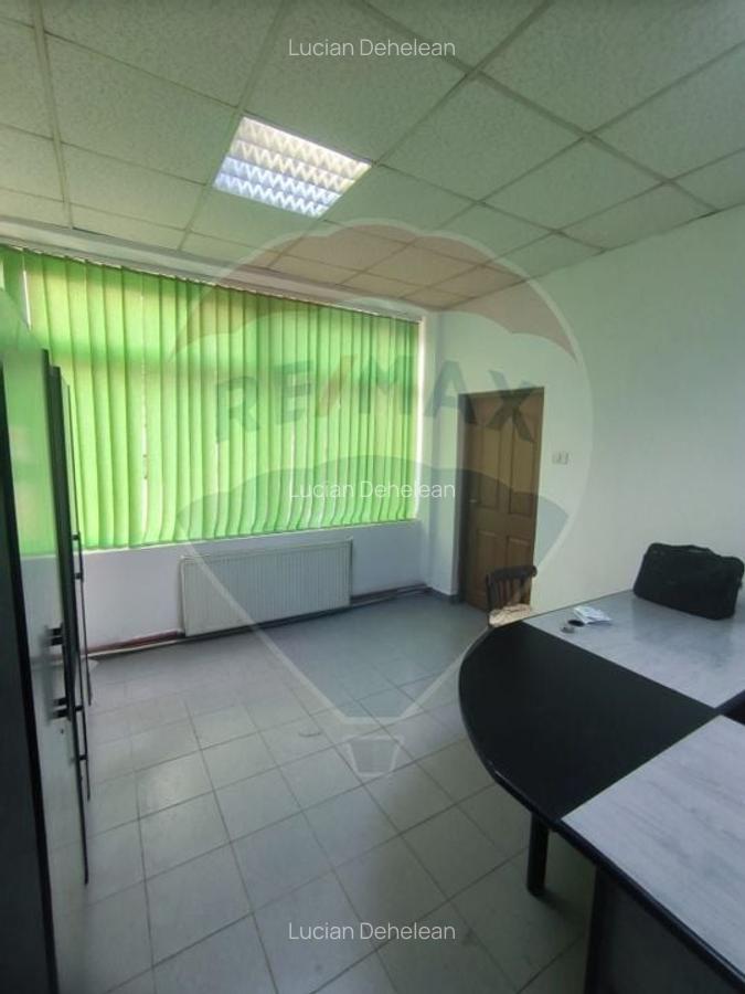 Spatiu industrial de 435mp de inchiriat in zona Sannicolau Mic - 8