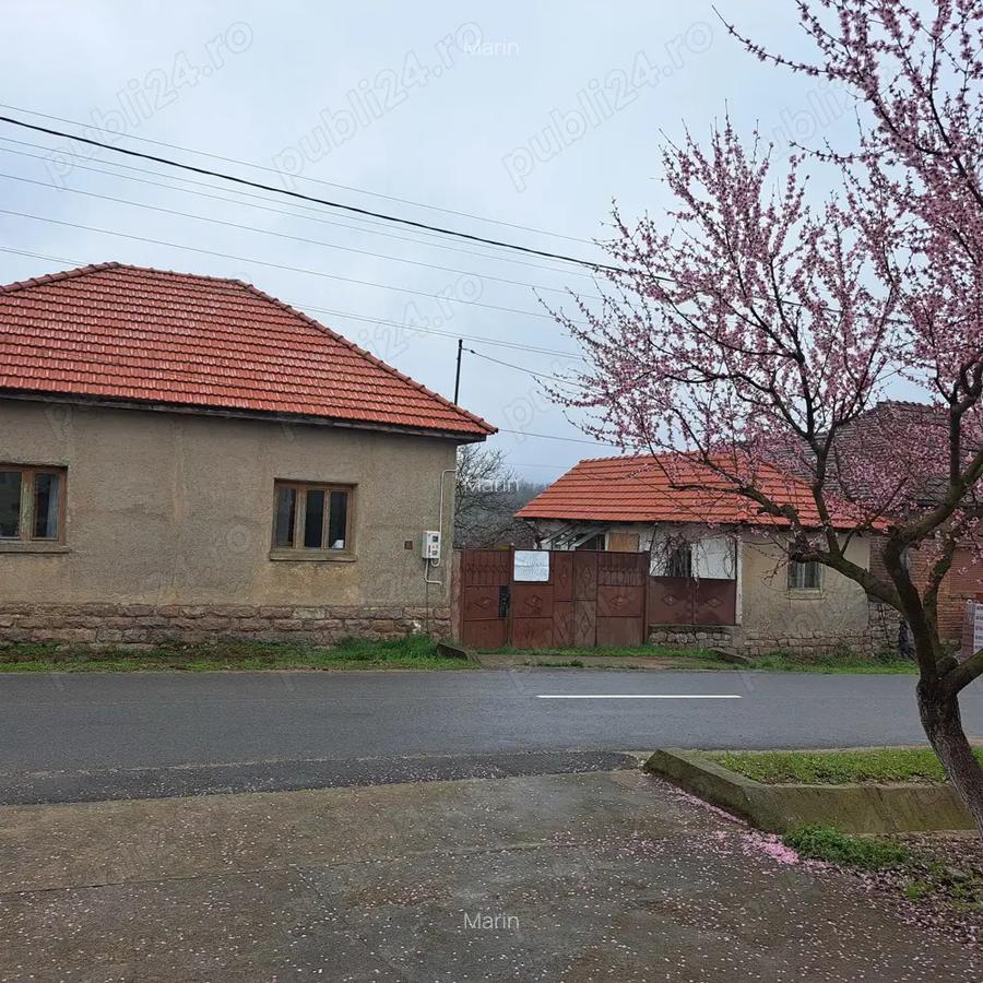 Vand casa Urvi? de Beiu? - 8