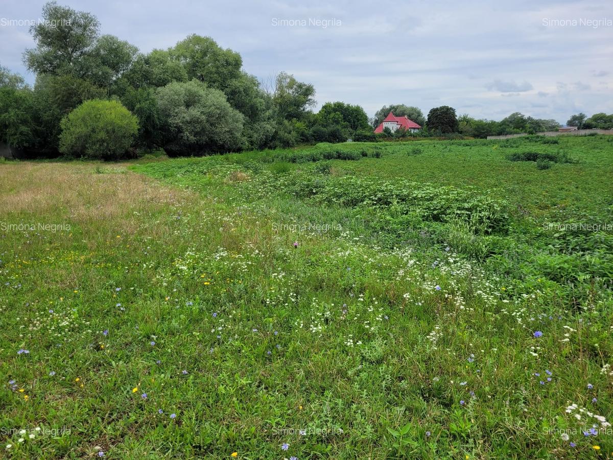 Teren intravilan 947mp, Sanpetru, Brasov - 9