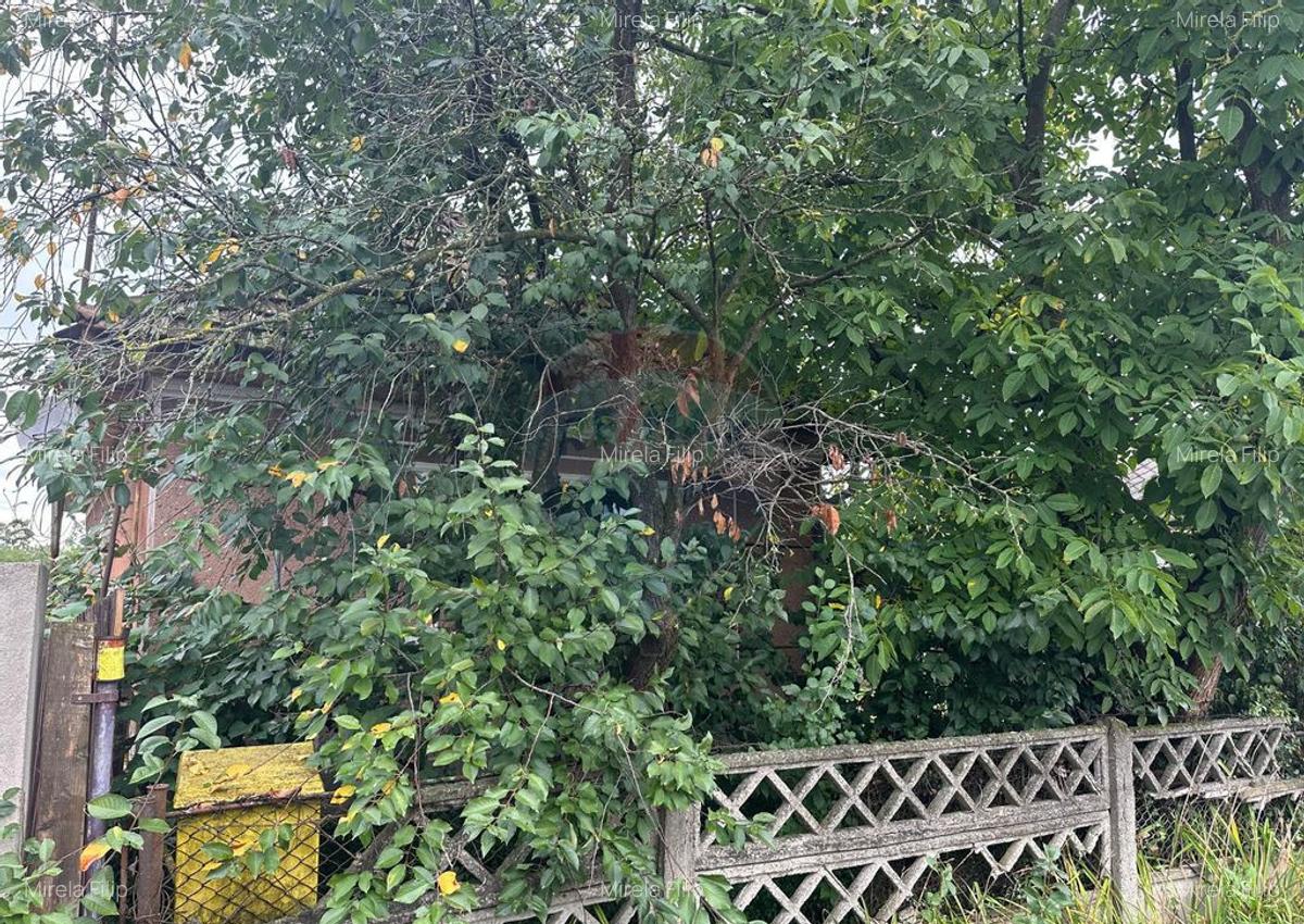30 arii TEREN INTRAVILAN cu o GOSPODARIE veche - 9