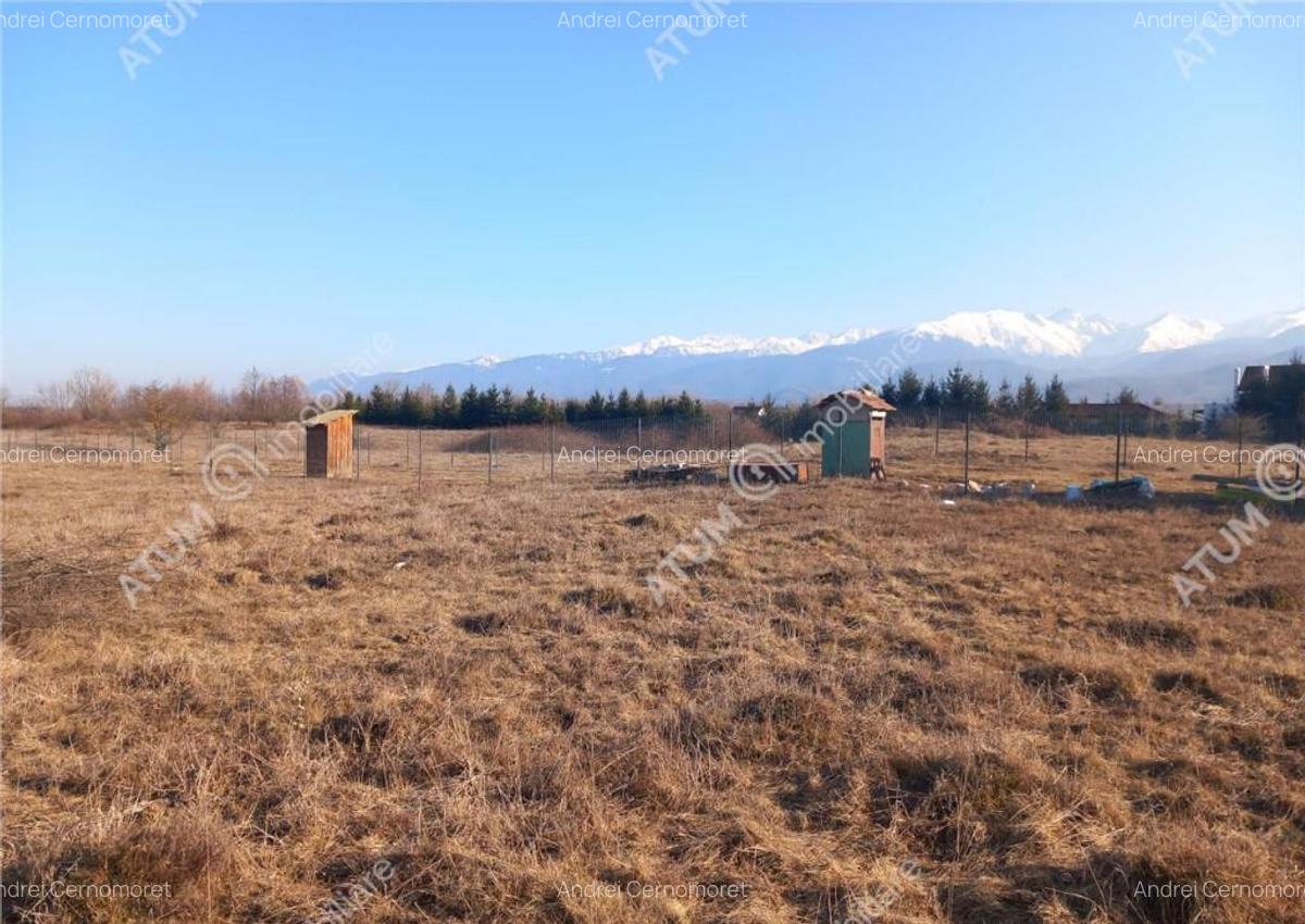 Teren intravilan 7900 mp de pe Valea Avrigului - 6