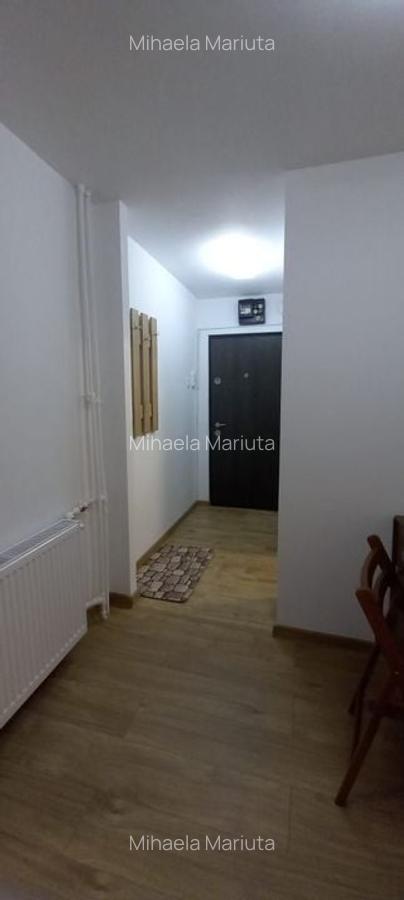 AP. 2 CAMERE LUJERULUI, RENOVAT, MOBILAT/UTILAT COMPLET, MODERN - 8