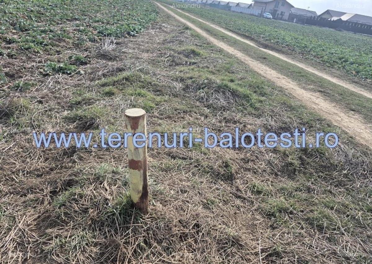 Teren intravilan Balotesti,langa ansamblul Terra si padure, 17000 euro - 12