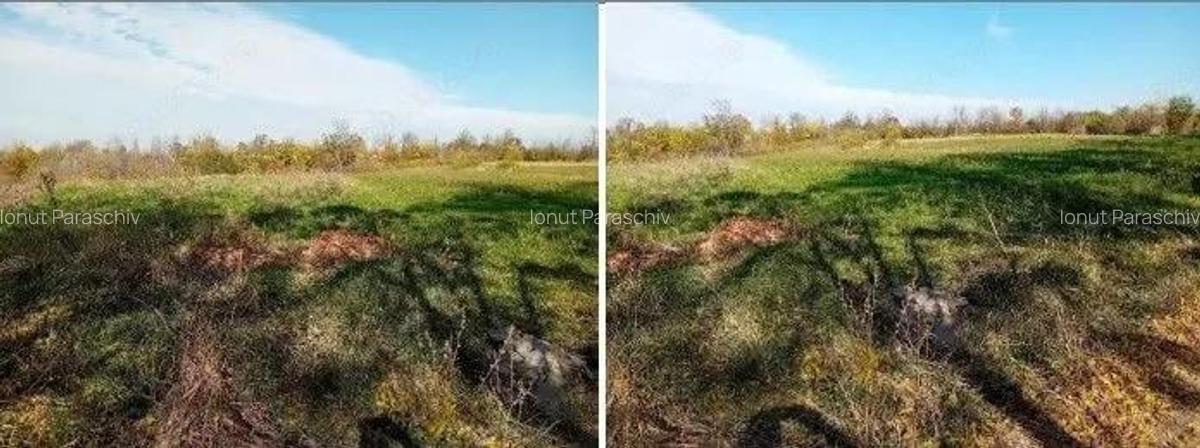 Teren Ungheni, ID: R2832820 - 6