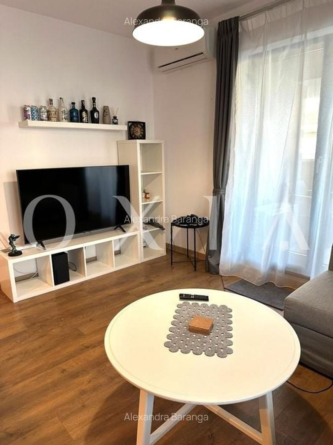 AX1134 ISHO, Take Ionescu, Loc De Parcare Subteran - 5