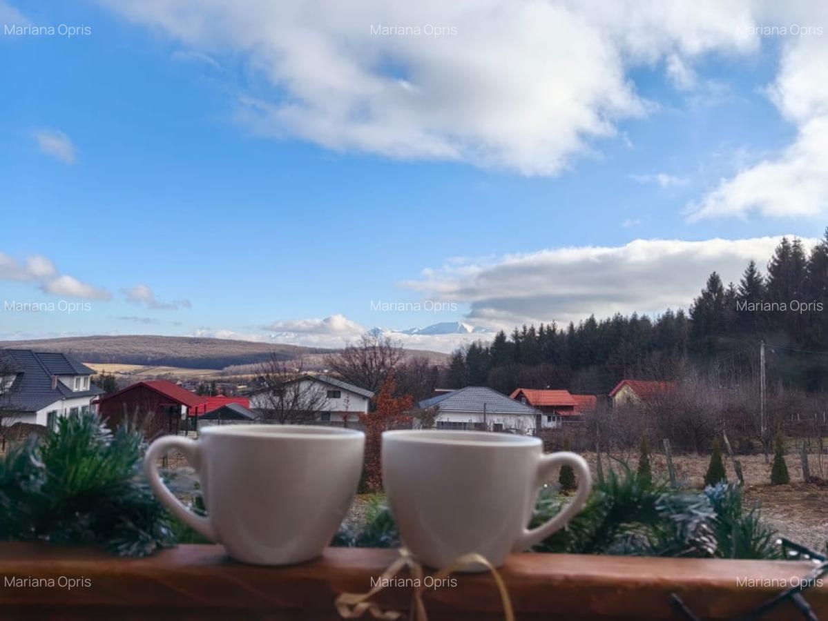 Casa individuala | 100 mp casa + 1500 mp teren | Tocile, judetul Sibiu - 15