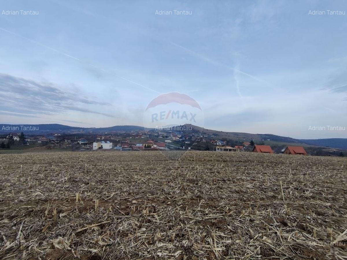 Teren intravilan de vanzare in Salicea, 3000 MP - 2