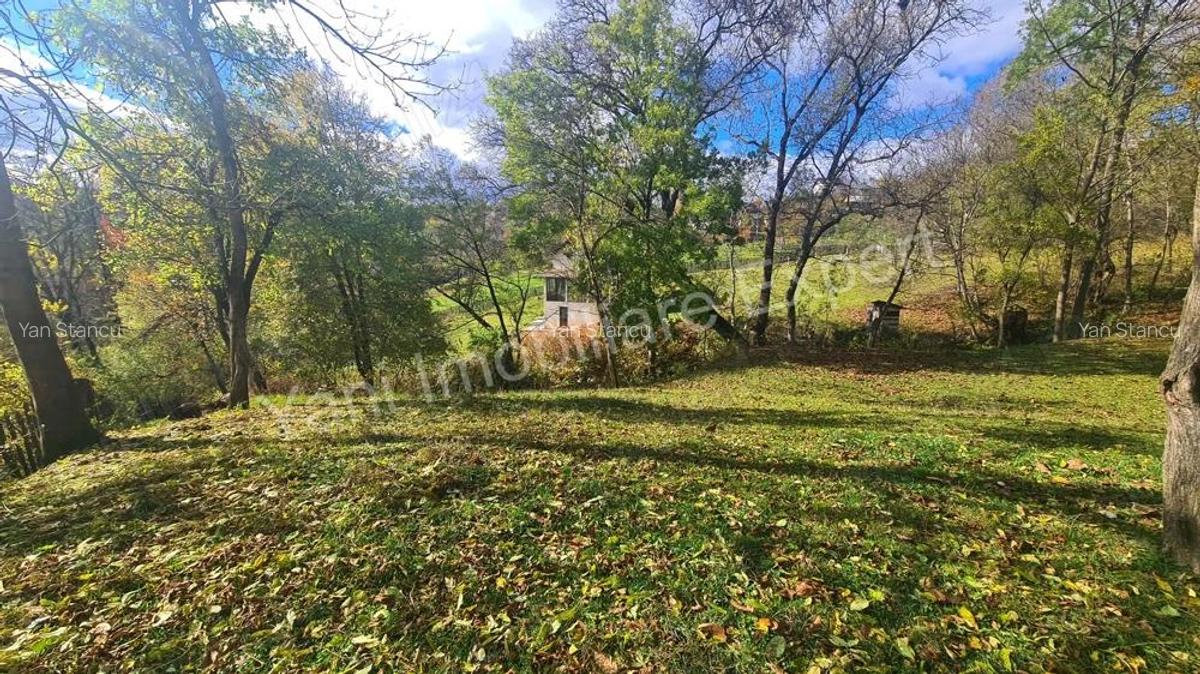 Teren de vanzare in comuna Arefu, jude? Arge?. - 8