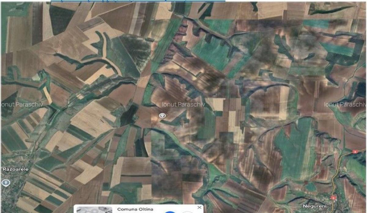 Teren extravilan Oltina, cota parte 1/2, ID: R2610910 - 3