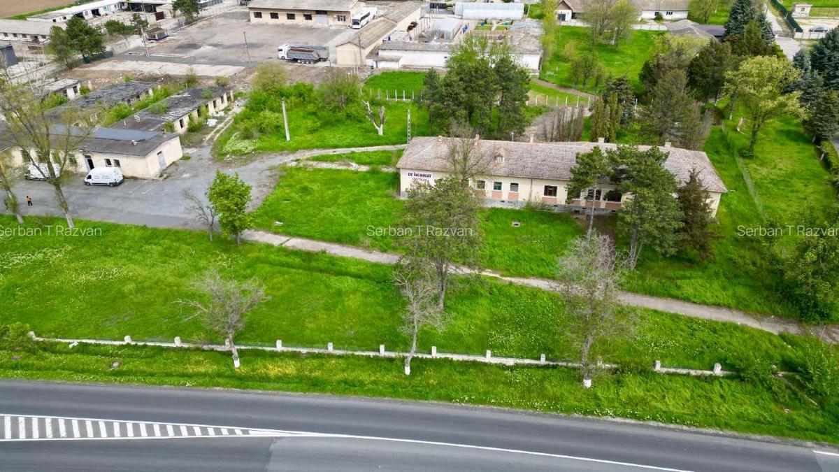 FERMĂ DE VÂNZARE – Partizanu, județul Constanța - 7