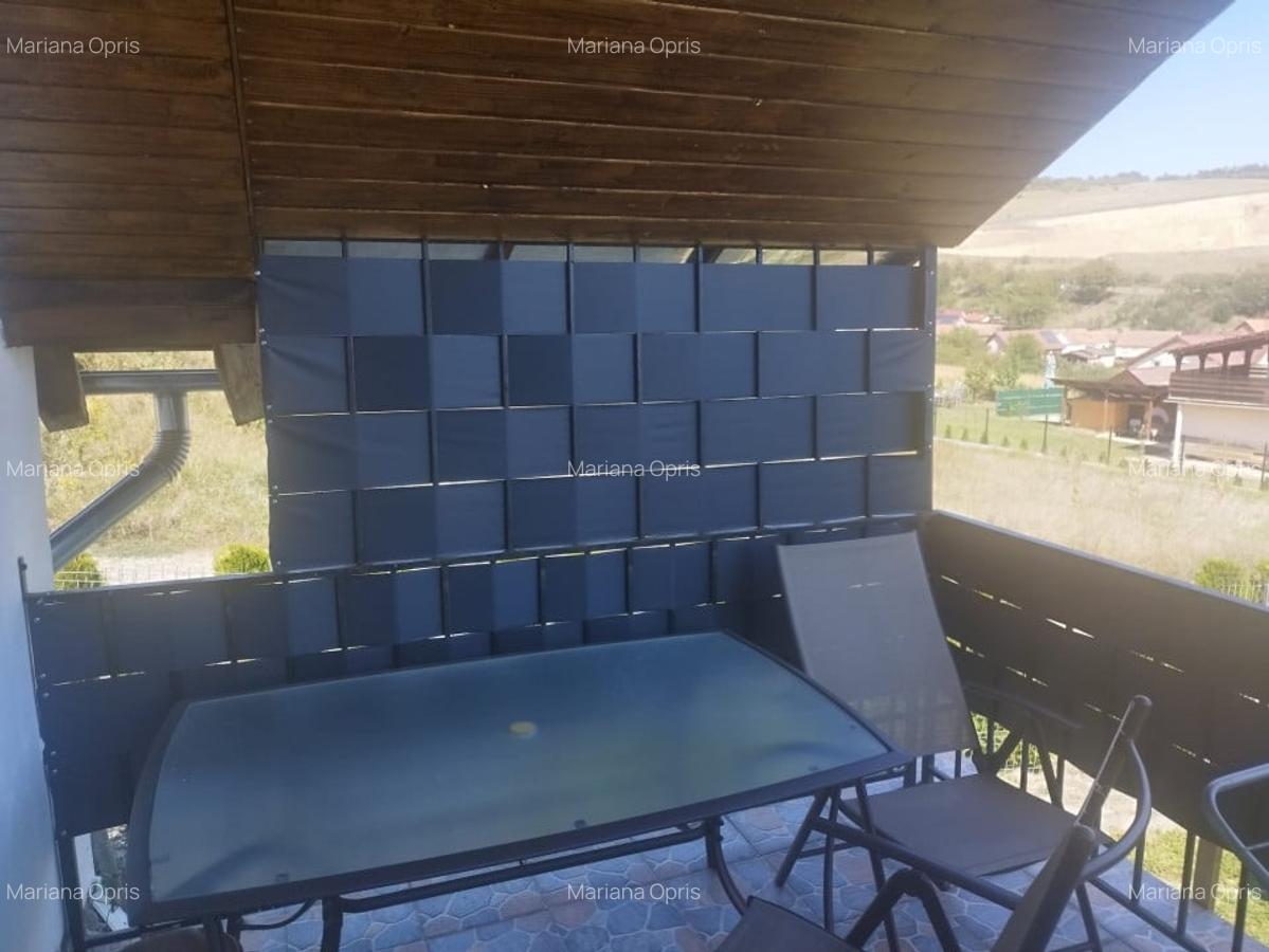 Vila de vanzare .suprafata utila totala 670 mp,in Sura  Mare - 10