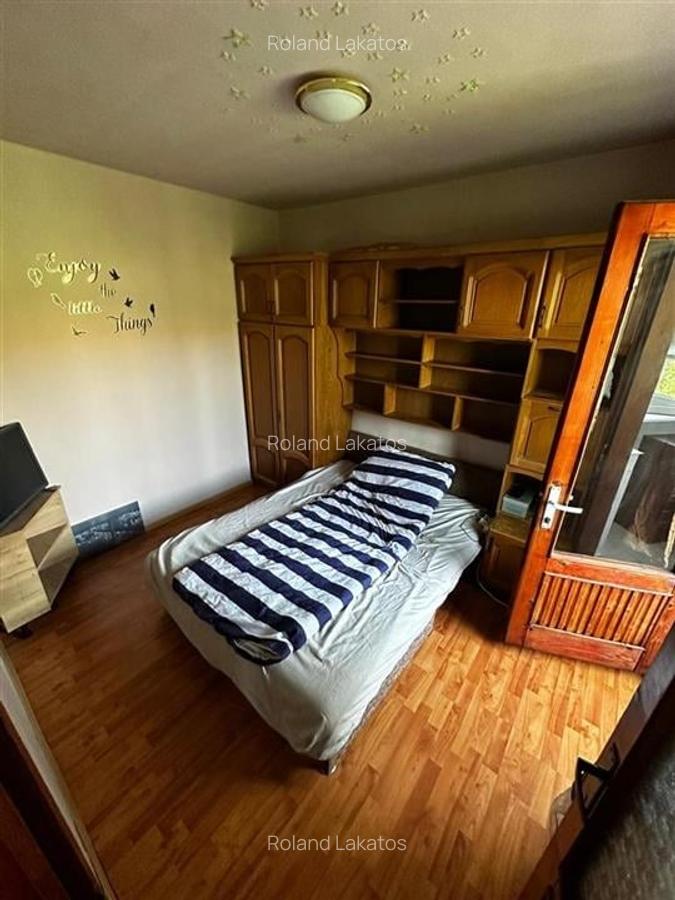 Apartament cu 2 camere decomandat în Nufărul - 3