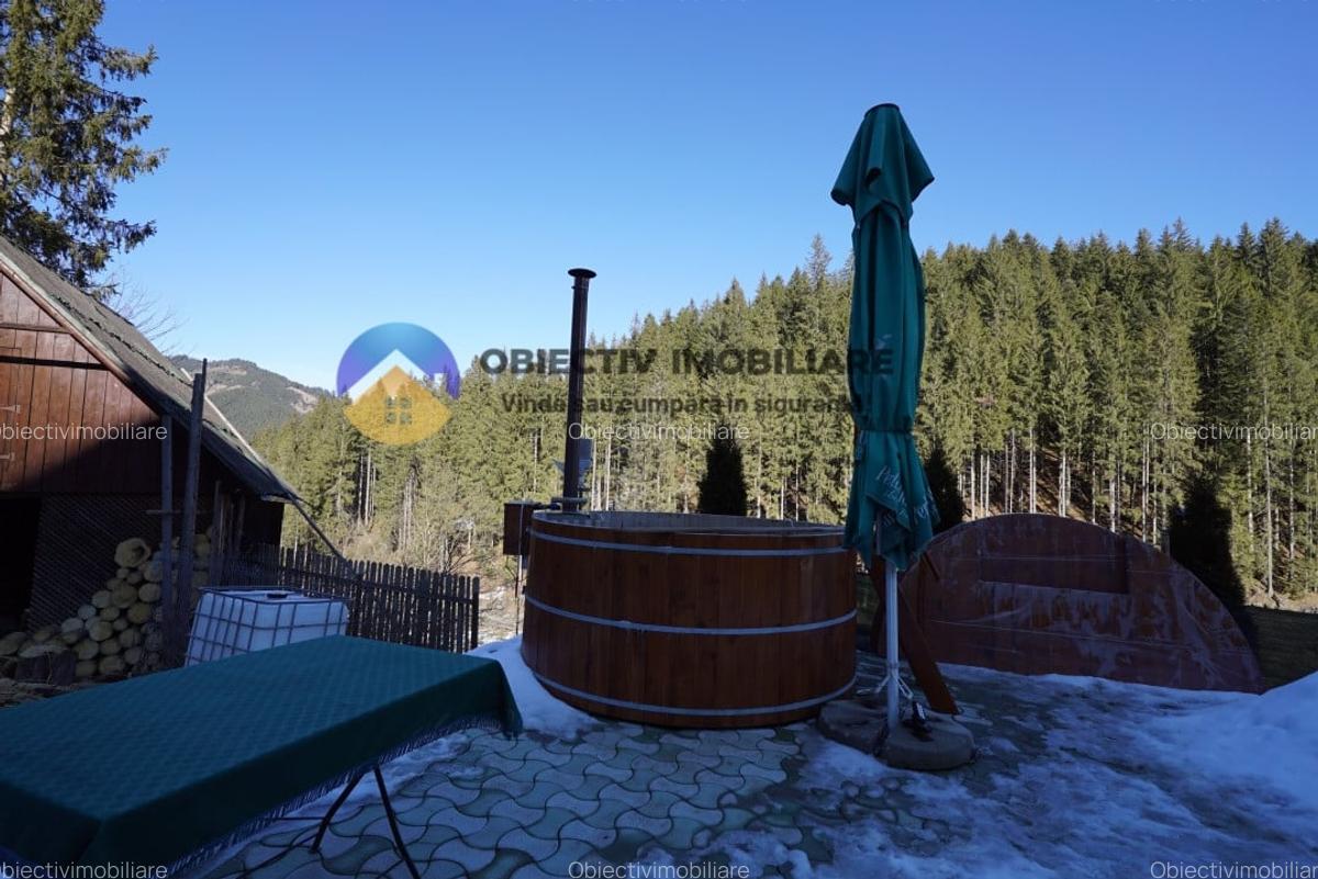 Refugiu Natural: Casa si Teren Inconjurat de Padure ! - 6
