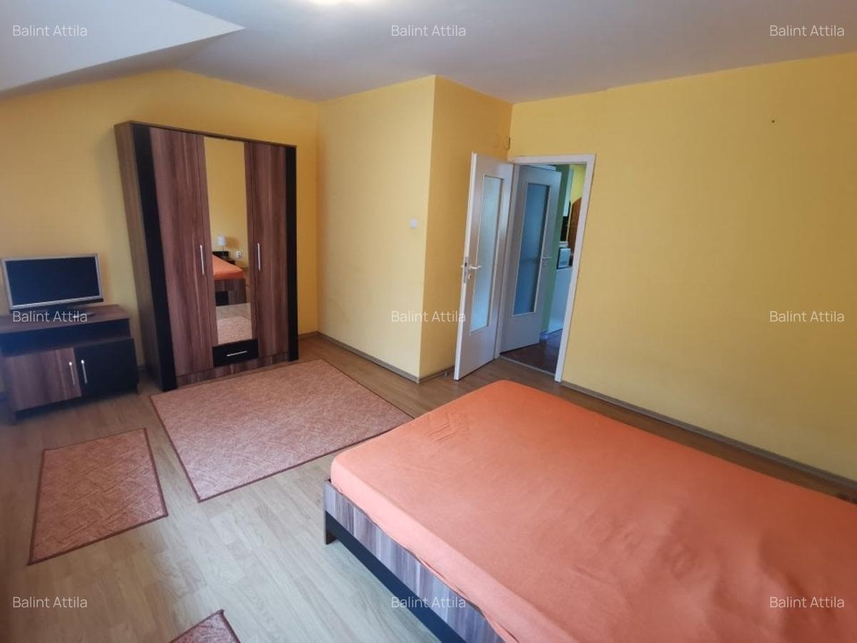 Medicina 2 camere la vila 350 euro - 6