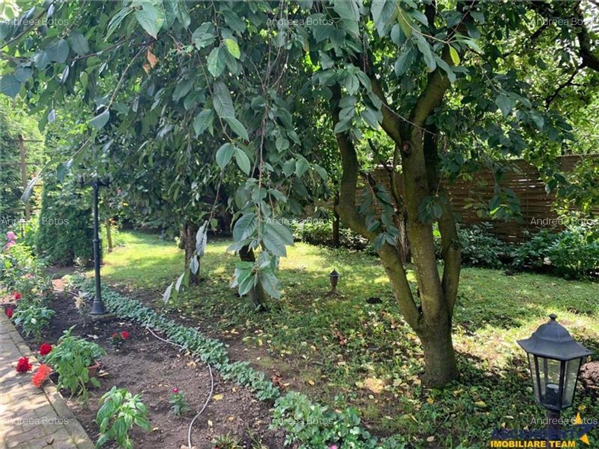 1.300mp teren intravilan,livada, utilitati, locatie premium: rezidential/comerci - 6