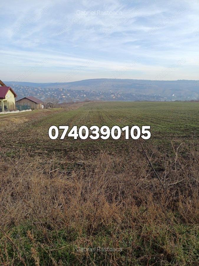 Teren 1950 mp Sorogari - 6