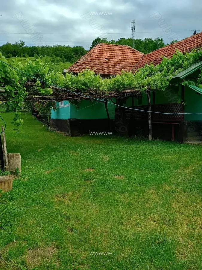 Casa ,anexe ,teren , sat Micanesti,comuna Zam, judetul Hunedoara - 4