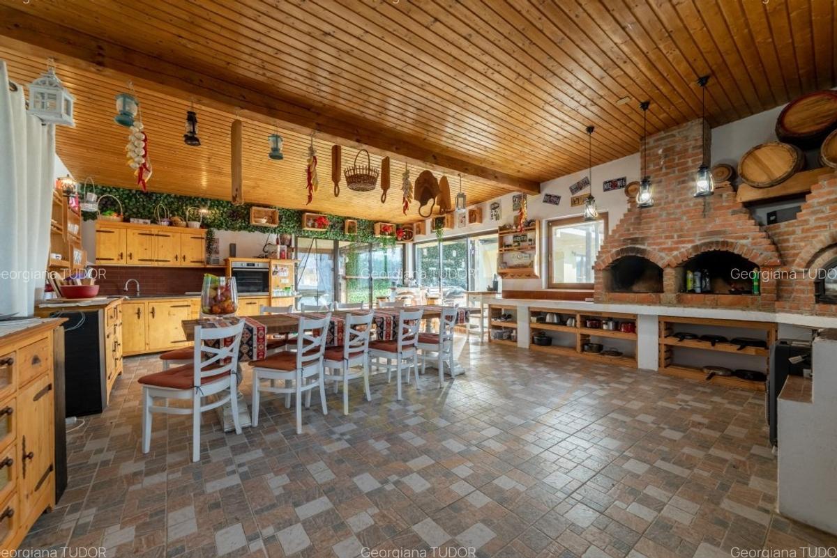 Casa de Vis la poalele Muntilor Fagaras-Jud.Arges! - 16