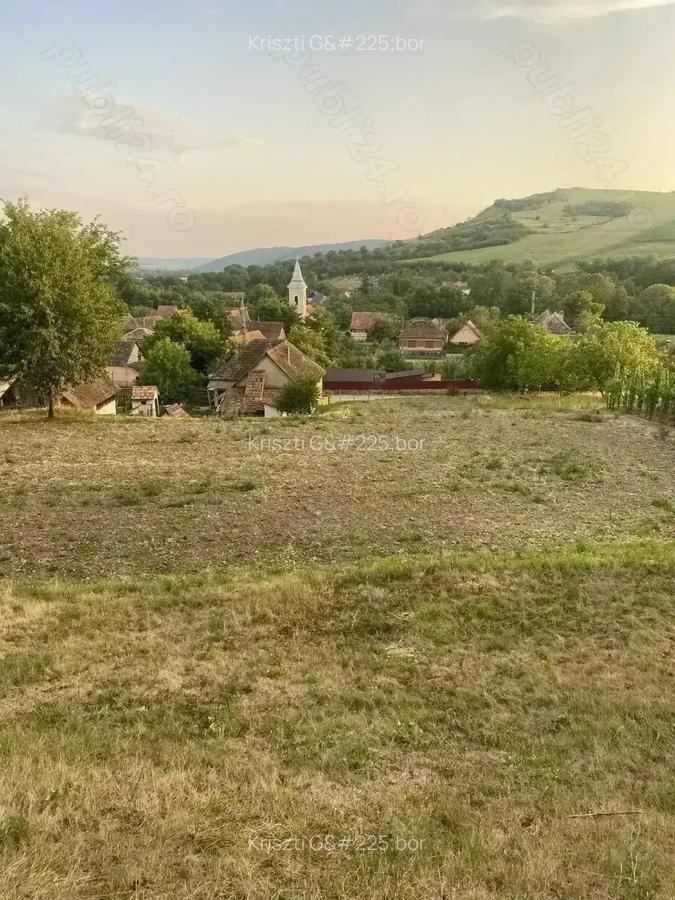 Casa de vanzare in Craiesti comuna Adamus - 5