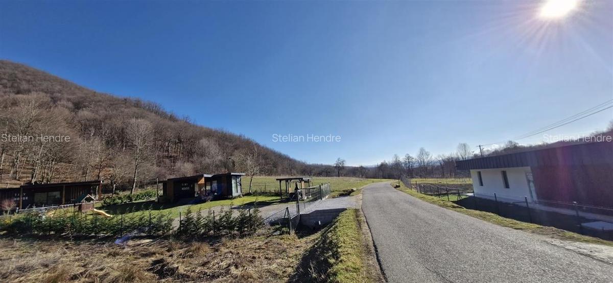 Teren Construcții intravilan de 3893 mp, în Borod - 5