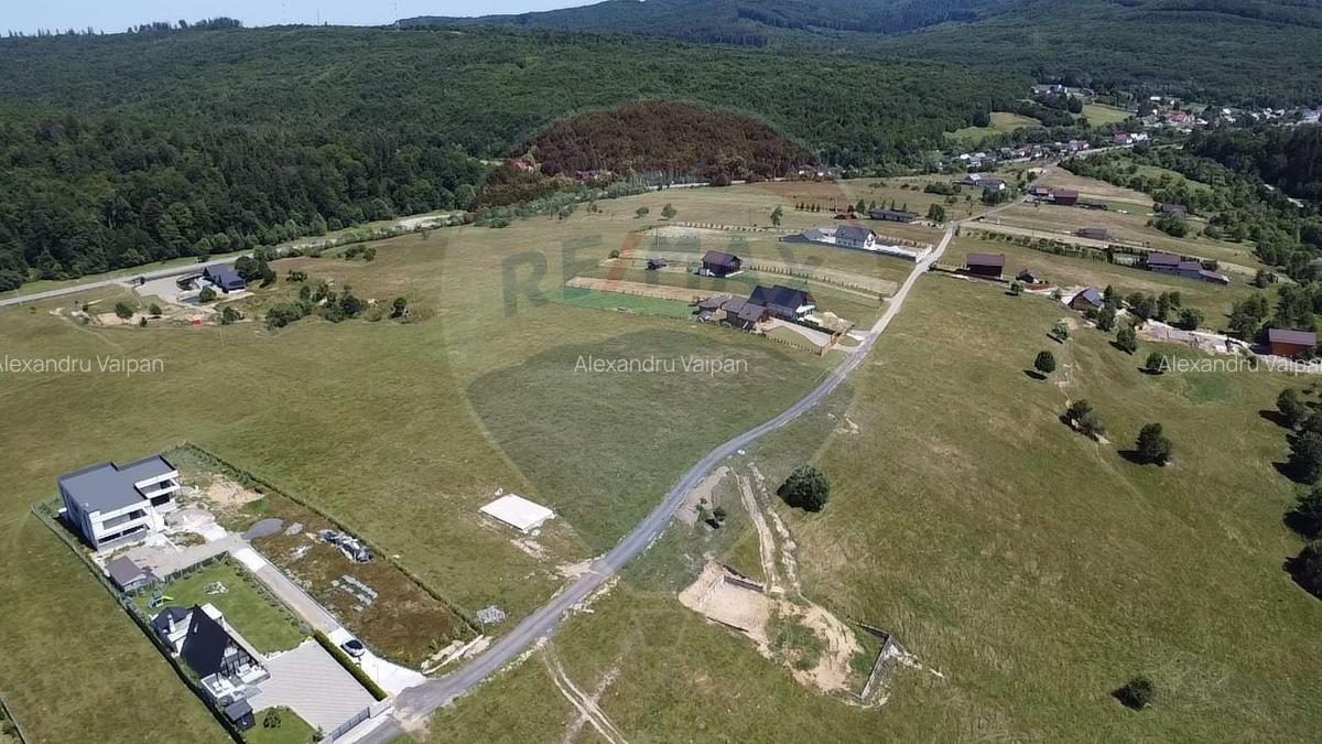 Teren 3,757mp Paltinoasa / Strada principala - 6
