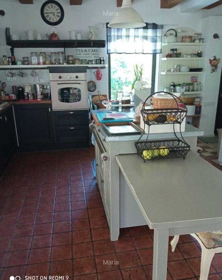 Casa cu peste 1HA pamant la poalele muntelui Cozia - 6