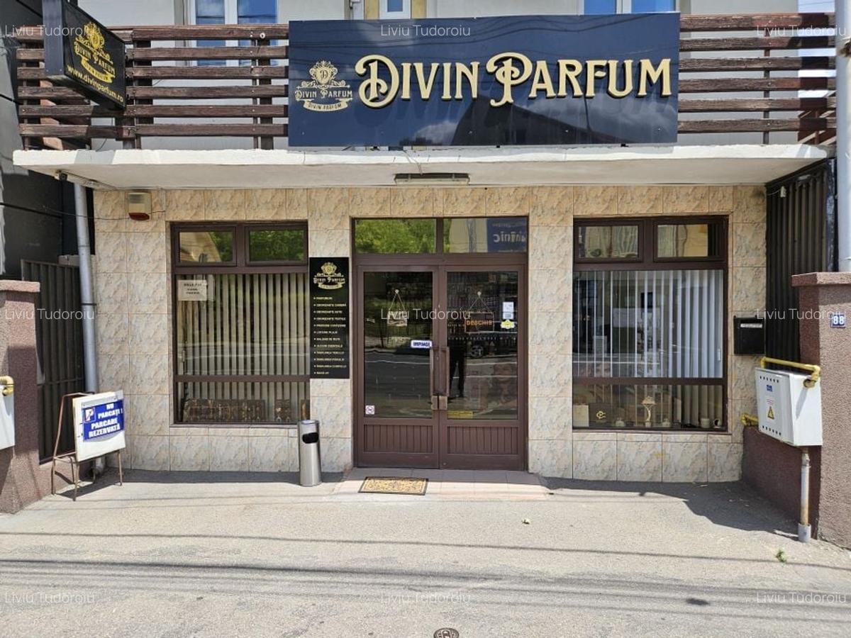 Inchiriere spatiu comercial, Bulevardul N. Balcescu, stradal - 10