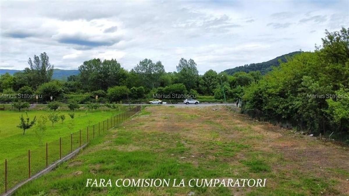 TEREN 2153 MP, BUJORENI - DESCHIDERE LA DN7 - 6