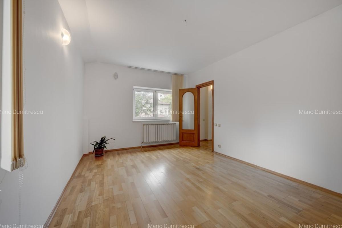 Vila de vanzare Domenii-Ion Mihalache - 10