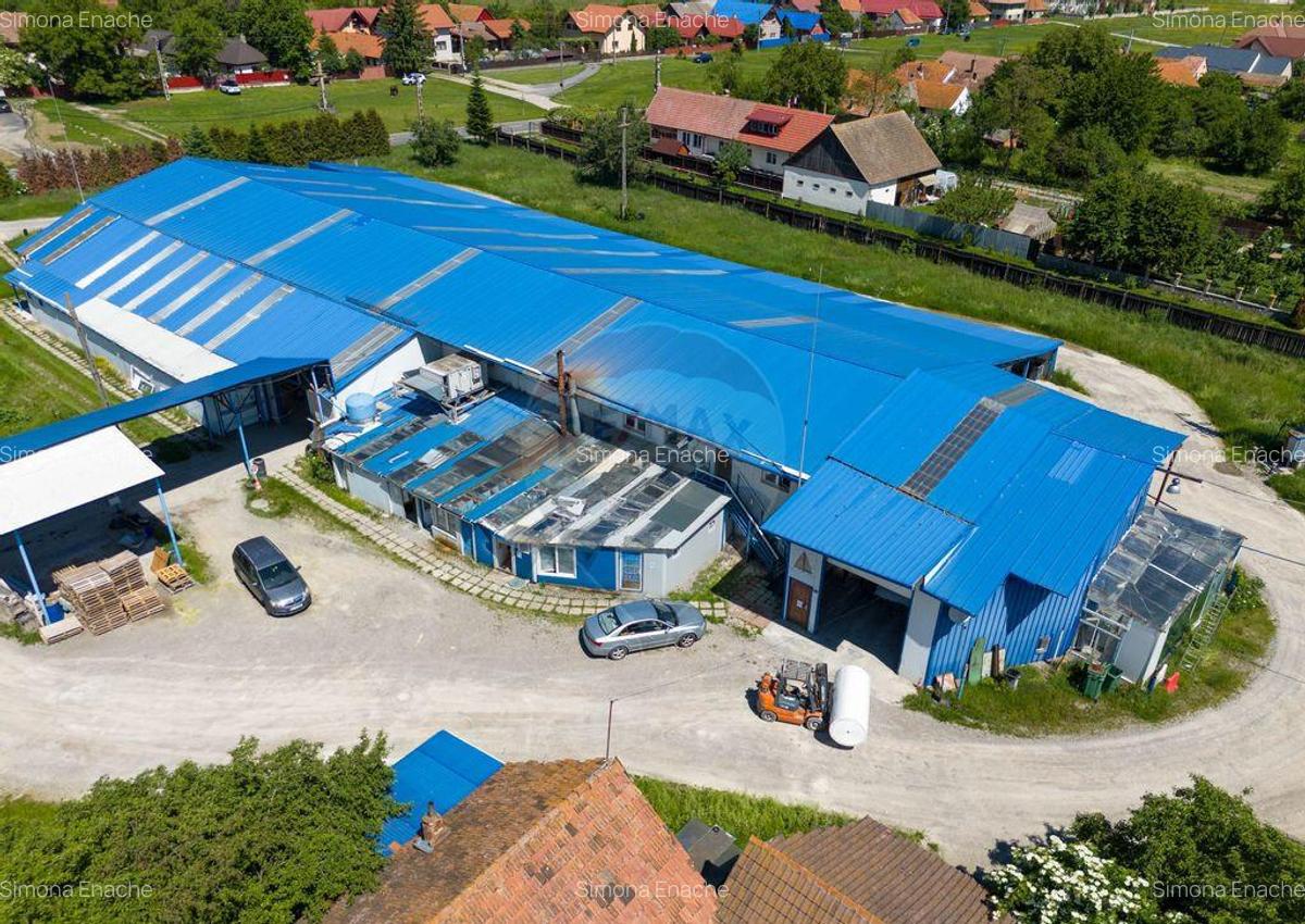 Comision 0 |Oportunitate : Hala Productie, hala depozit |... - 17