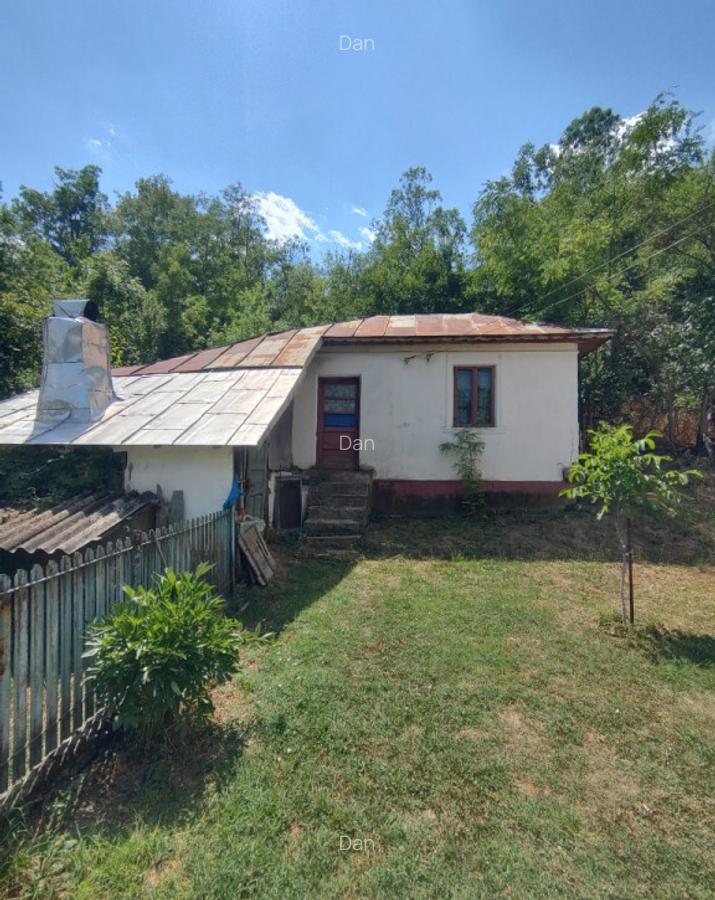 Casa la tara 85mp, Anexe, teren 4098mp, Recea, Sat Deagu de Jos, Arges - 12