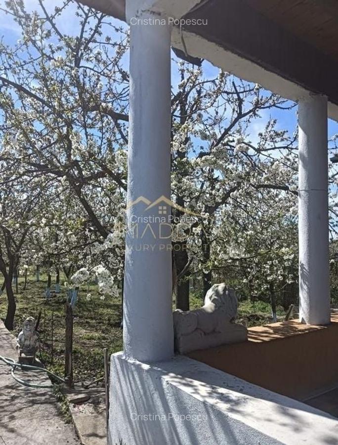 Vila 9 camere***gradina cu pomi fructiferi//1085 mp teren***Dragomiresti-Deal - 1