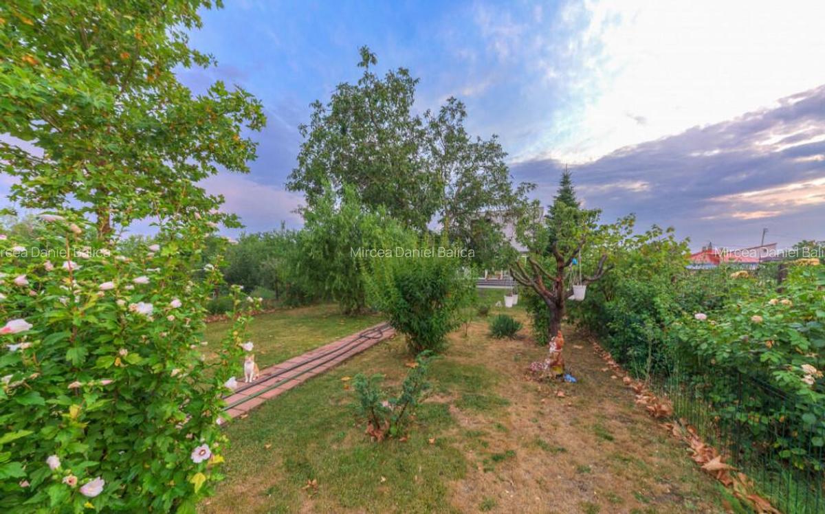 De vanzare vila Cornetu, pentru gospodarul din tine. - 6