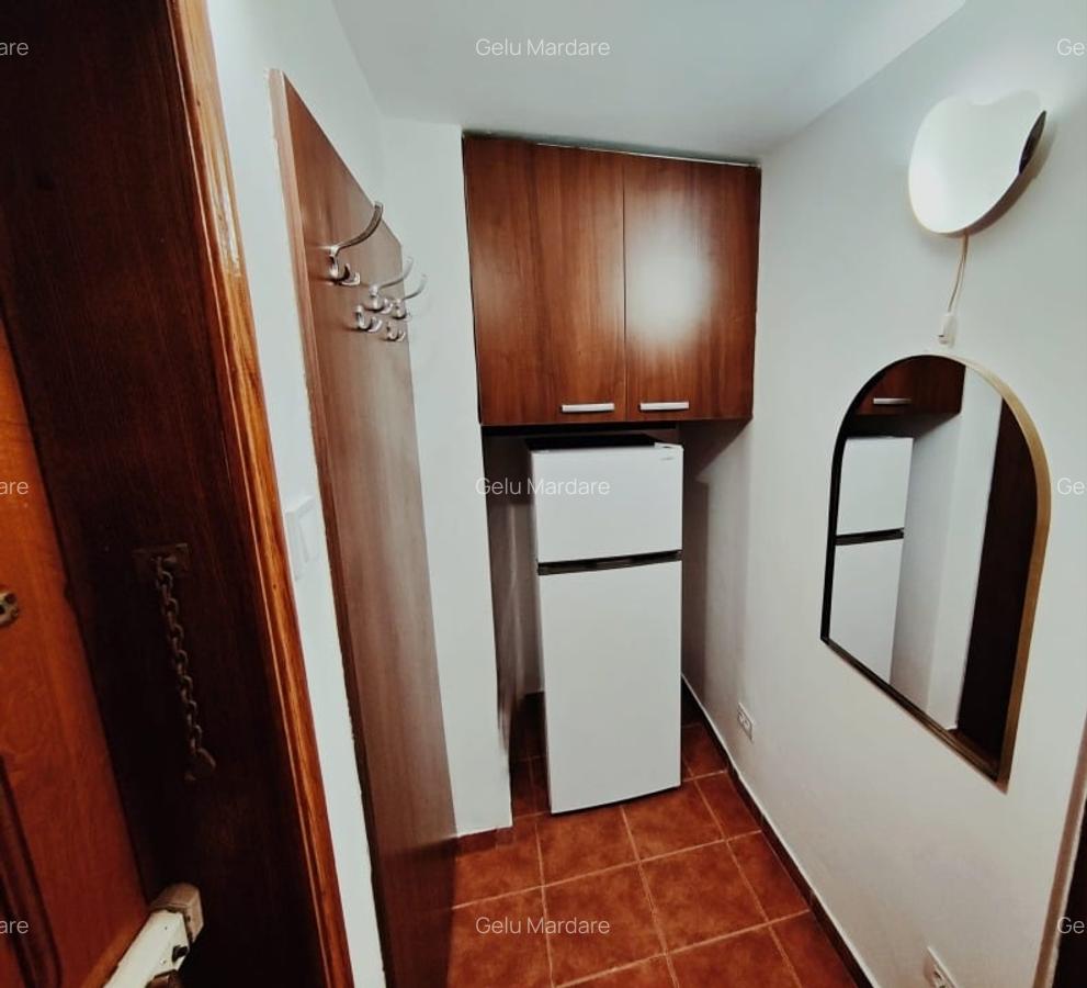 Apartament de inchiriat zona Podu Ros - 2